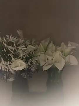 SLNatasha online show from 1, 3, 2026