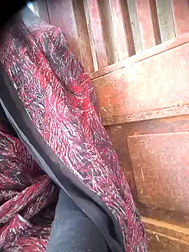 Hot-dasi52 online show from 23, 12, 2025