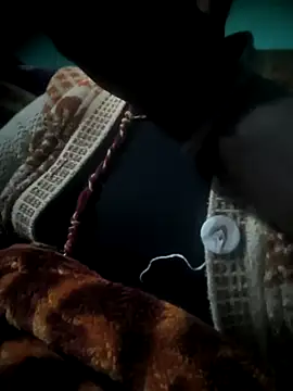 Hot-dasi52 online show from 11, 1, 2026