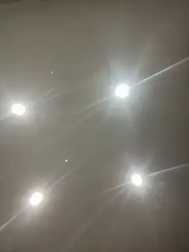 Sashailardi online show from 4, 3, 2026