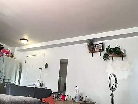 littyleesh1 online show from 13, 1, 2026