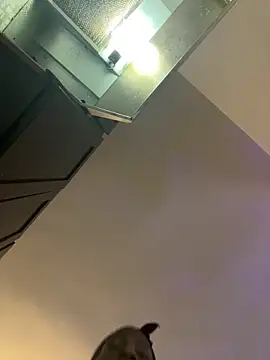 littyleesh1 online show from 22, 3, 2026