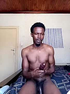 donchico0 online show from 3, 12, 2025