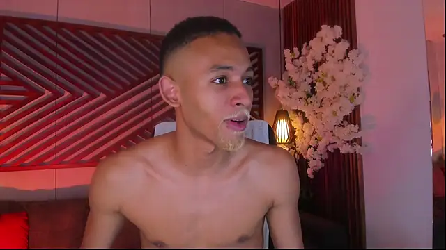 B Wild online show from 4, 10, 2025