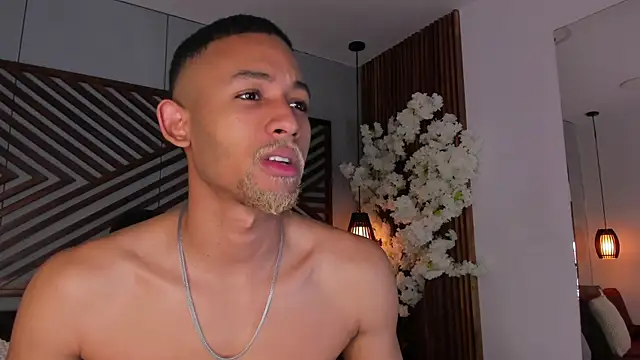 B Wild online show from 28, 11, 2025