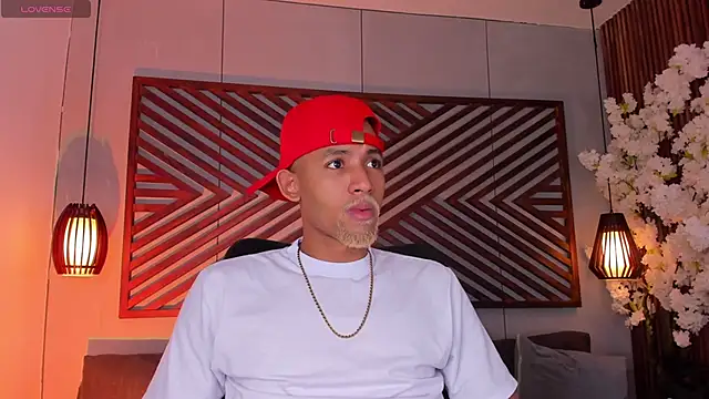 B Wild online show from 5, 11, 2025