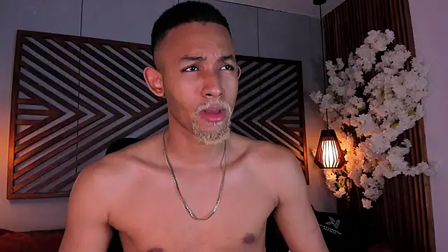 B Wild online show from 15, 11, 2025