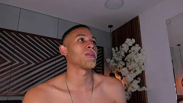 B Wild online show from 29, 11, 2025