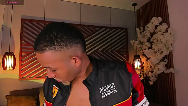 B Wild online show from 6, 11, 2025