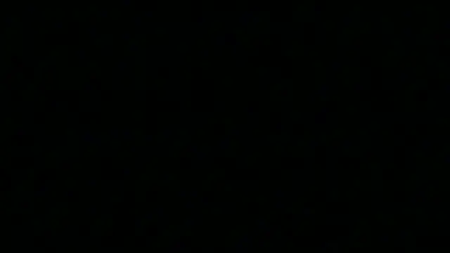 Pyrelissa online show from 4, 12, 2025