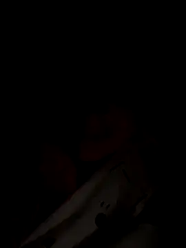 Dakota Evanns online show from 28, 11, 2025