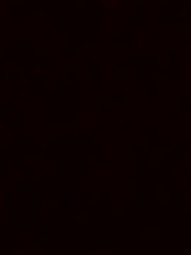 luzmelzinha online show from 23, 11, 2025