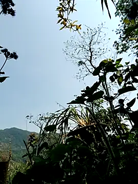 kemtuoi-sex online show from 8, 4, 2026