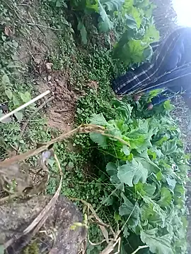 kemtuoi-sex online show from 17, 1, 2026