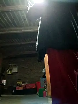 kemtuoi-sex online show from 3, 11, 2025