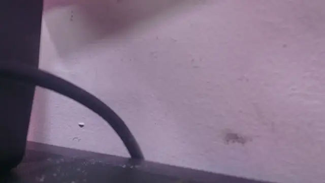 abbyrouss  online show from 7, 10, 2025