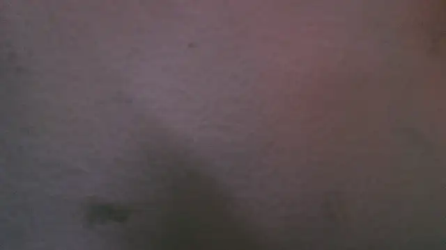 abbyrouss  online show from 16, 10, 2025