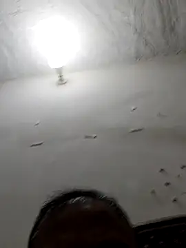 Famit025 online show from 27, 11, 2025