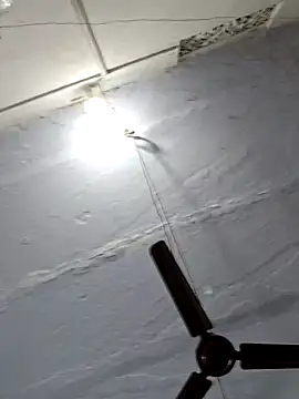 Famit025 online show from 24, 3, 2026