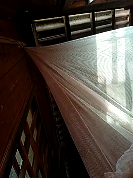 kata-00 online show from 18, 1, 2026