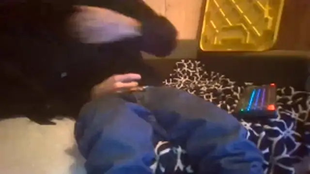 Sillycatfish online show from 20, 12, 2025