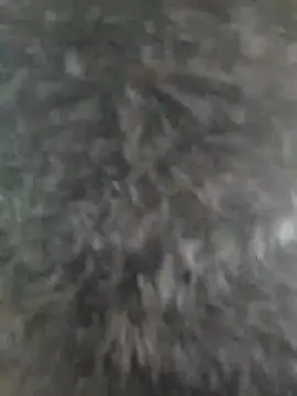 susan mooree online show from 1, 10, 2025