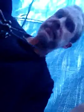 Snapshot of Mrdano0000 chatting on 27, 3, 2026 Mrdano0000 online show from 27, 3, 2026