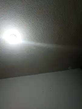 ZARAY 1118 online show from 19, 3, 2026