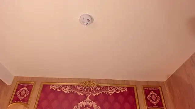 Helenstanford online show from 26, 9, 2025