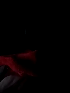 Carraraputo online show from 11, 11, 2025