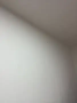 Anabelle 00  online show from 22, 3, 2026