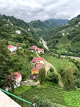 LAZ3R1 online show from 2, 10, 2025