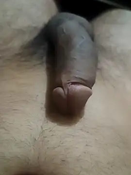 snadycam online show from 29, 10, 2025