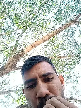 snadycam online show from 9, 10, 2025