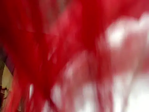 franchescadoll online show from 6, 10, 2025