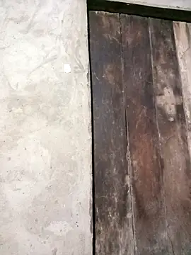 riso-00 online show from 30, 3, 2026