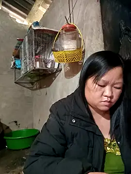 riso-00 online show from 9, 1, 2026