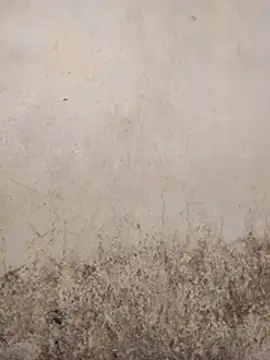 SSexykute3456 online show from 23, 12, 2025