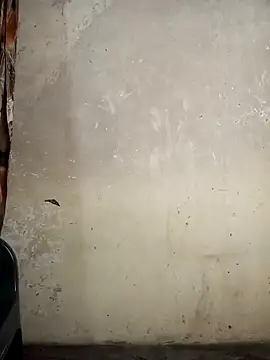 Gracie Stella online show from 11, 10, 2025