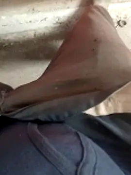 haryanaboypanipat12 online show from 11, 4, 2026