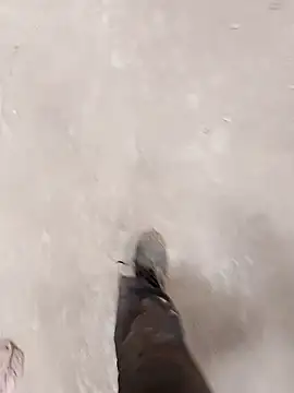 haryanaboypanipat12 online show from 9, 4, 2026