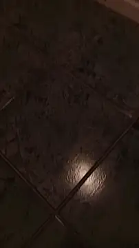 dani0069 online show from 11, 1, 2026