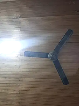 Chloe y Dante online show from 24, 11, 2025