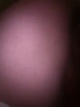 LatinGordis online show from 17, 12, 2025