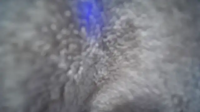 jasoncali305 online show from 20, 11, 2025