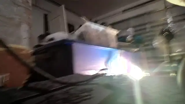 jasoncali305 online show from 19, 9, 2025