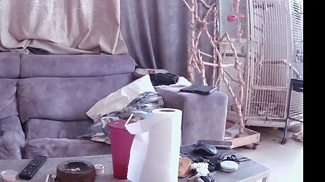 Alexis21821 online show from 14, 11, 2025