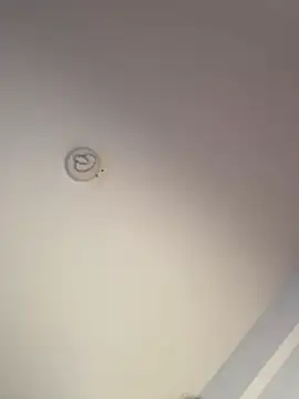 Andrestarr online show from 19, 3, 2026