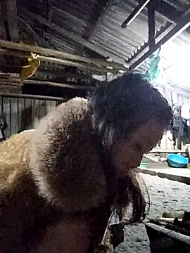 bonnie-00 online show from 14, 11, 2025