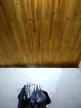 Snapshot of Dung_x chatting on 4, 10, 2025 Dung x online show from 4, 10, 2025